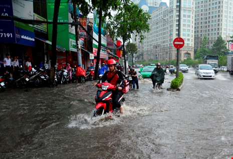 [-]Dự[-]án[-]“không[-]hết[-]ngập[-]không[-]lấy[-]tiền”[-]bất[-]ngờ[-]gãy[-]gánh